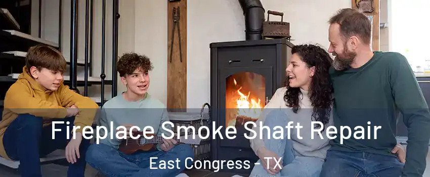 Fireplace Smoke Shaft Repair East Congress - TX