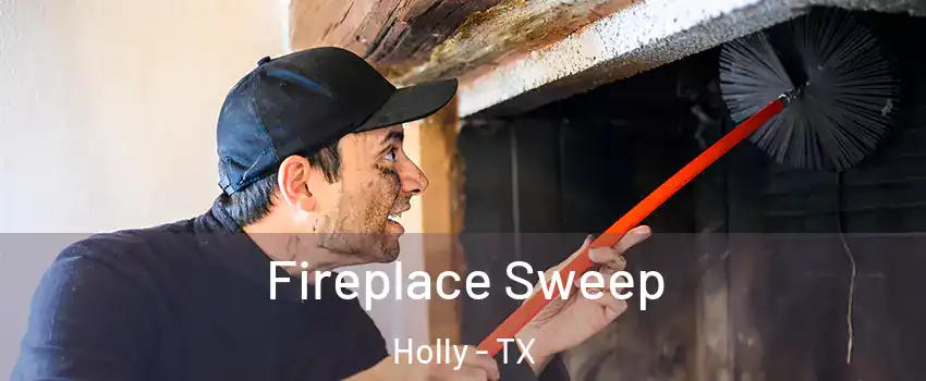 Fireplace Sweep Holly - TX