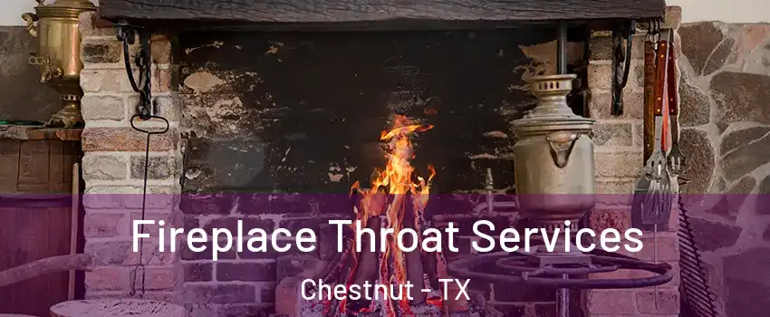 Fireplace Throat Services Chestnut - TX