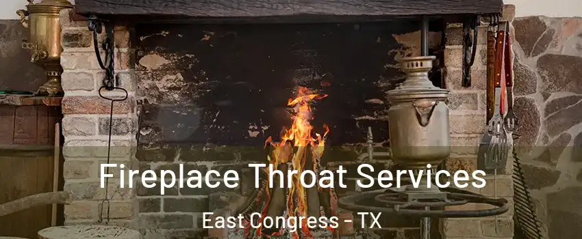 Fireplace Throat Services East Congress - TX