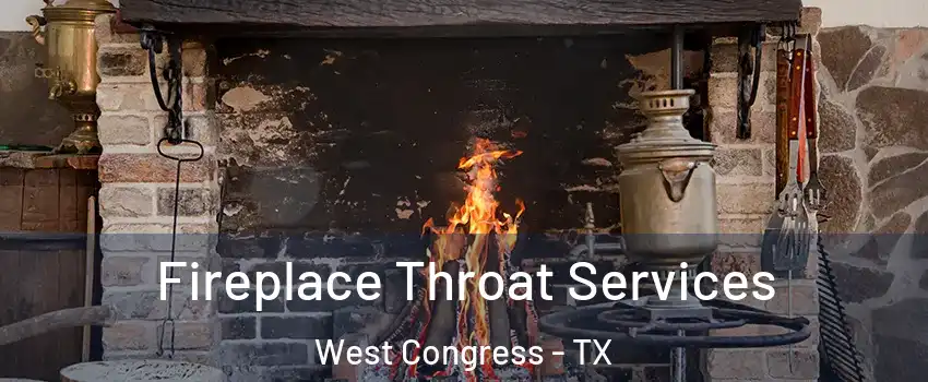 Fireplace Throat Services West Congress - TX