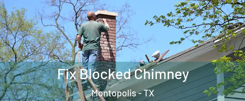 Fix Blocked Chimney Montopolis - TX