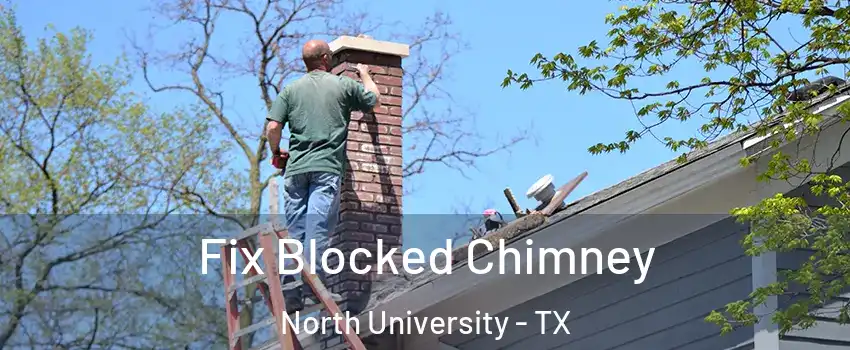 Fix Blocked Chimney North University - TX