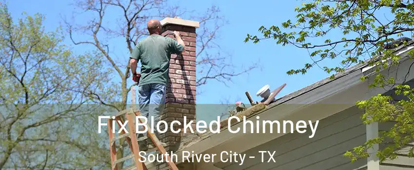 Fix Blocked Chimney South River City - TX