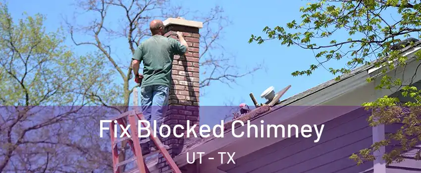 Fix Blocked Chimney UT - TX