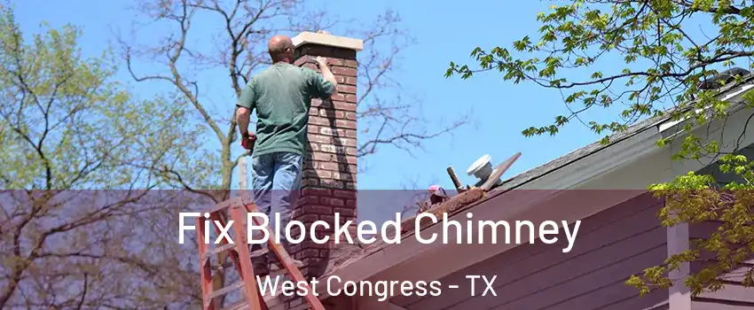 Fix Blocked Chimney West Congress - TX