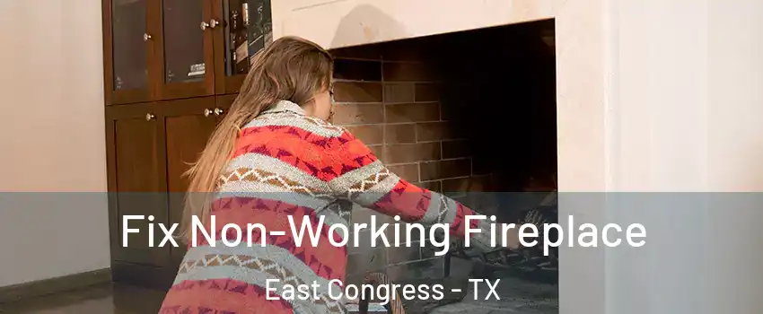 Fix Non-Working Fireplace East Congress - TX