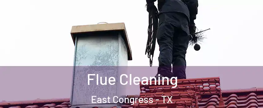 Flue Cleaning East Congress - TX