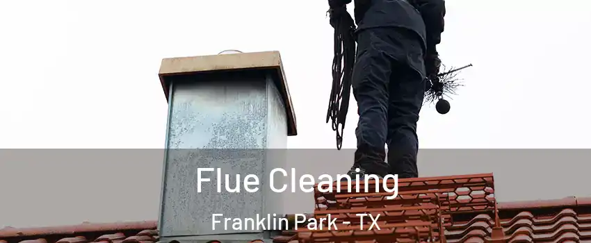 Flue Cleaning Franklin Park - TX