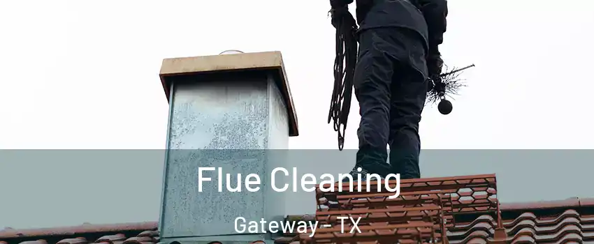 Flue Cleaning Gateway - TX