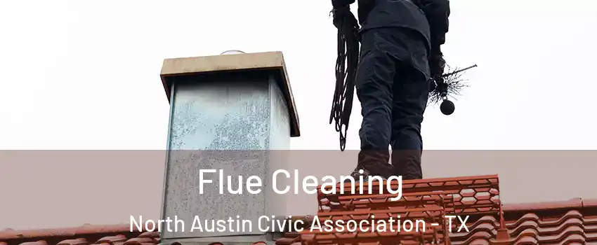 Flue Cleaning North Austin Civic Association - TX