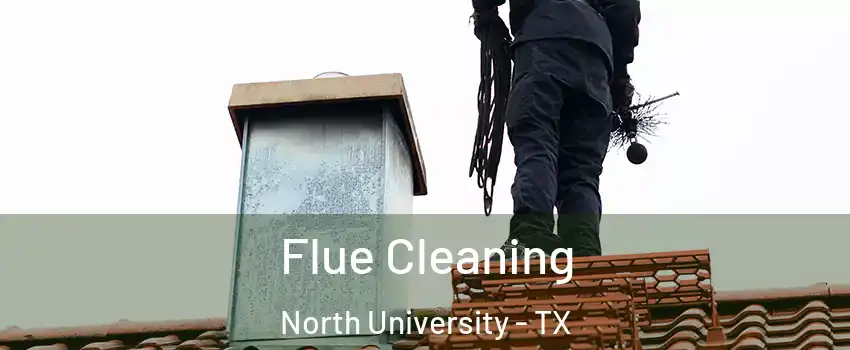 Flue Cleaning North University - TX