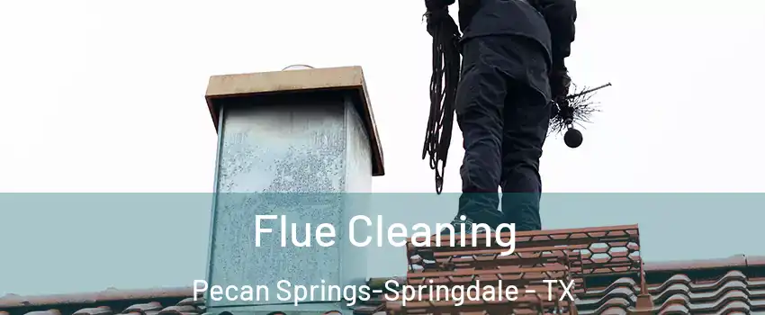 Flue Cleaning Pecan Springs-Springdale - TX