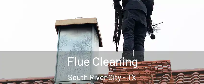 Flue Cleaning South River City - TX