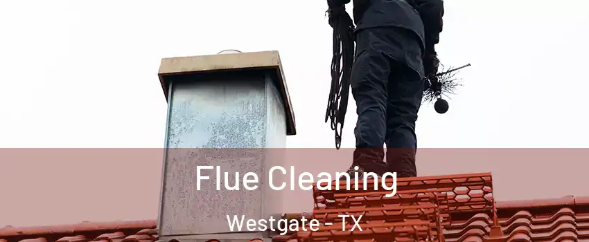 Flue Cleaning Westgate - TX