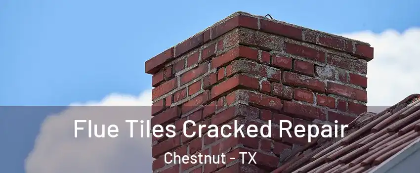 Flue Tiles Cracked Repair Chestnut - TX