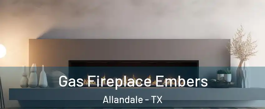 Gas Fireplace Embers Allandale - TX