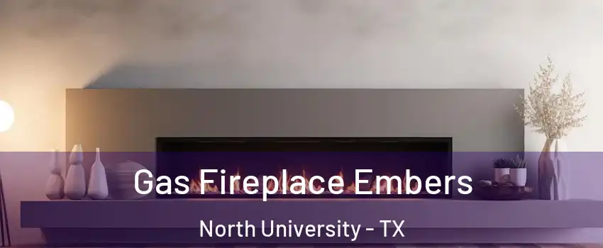 Gas Fireplace Embers North University - TX