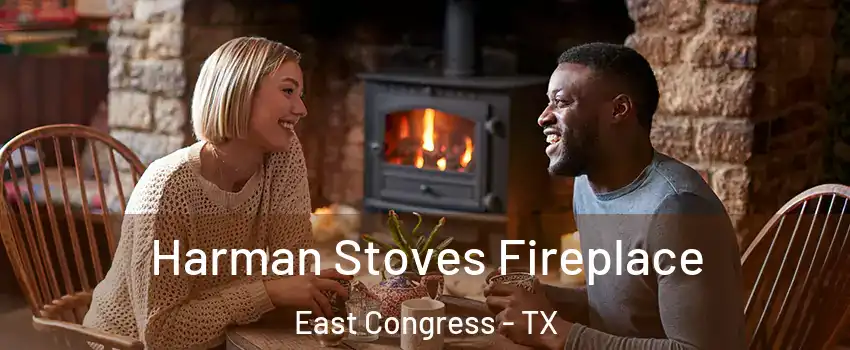 Harman Stoves Fireplace East Congress - TX