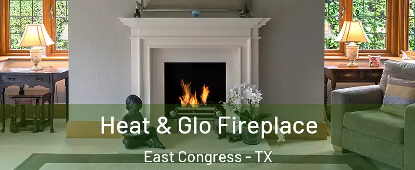 Heat & Glo Fireplace East Congress - TX