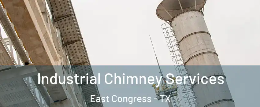 Industrial Chimney Services East Congress - TX