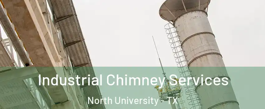 Industrial Chimney Services North University - TX