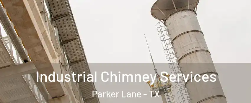 Industrial Chimney Services Parker Lane - TX