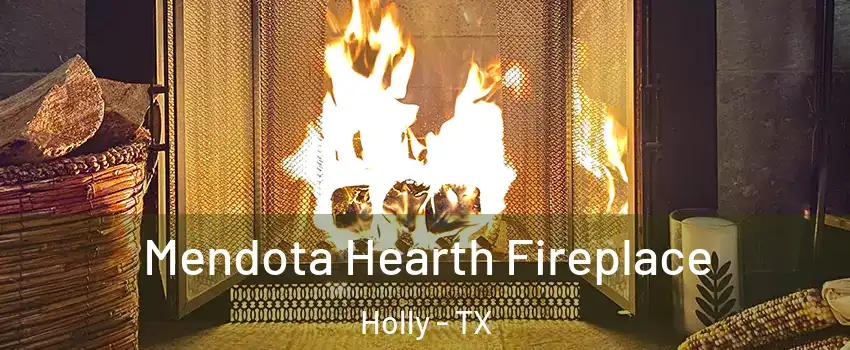 Mendota Hearth Fireplace Holly - TX