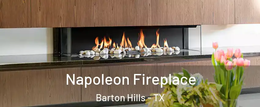 Napoleon Fireplace Barton Hills - TX