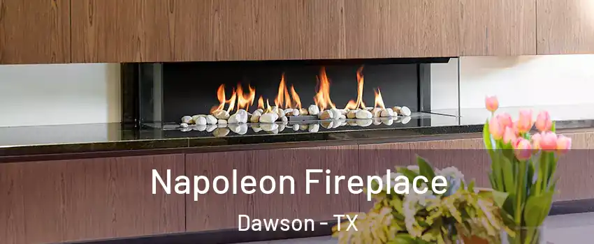 Napoleon Fireplace Dawson - TX