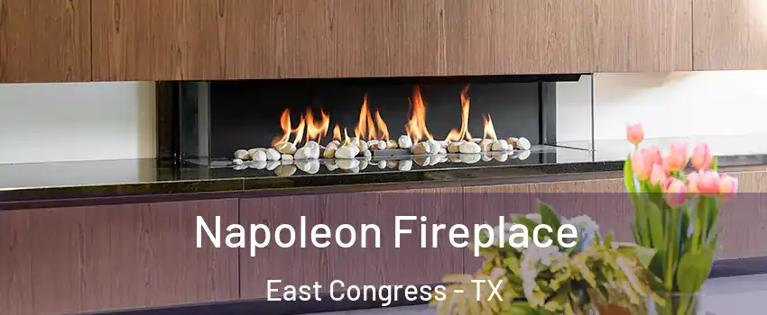 Napoleon Fireplace East Congress - TX