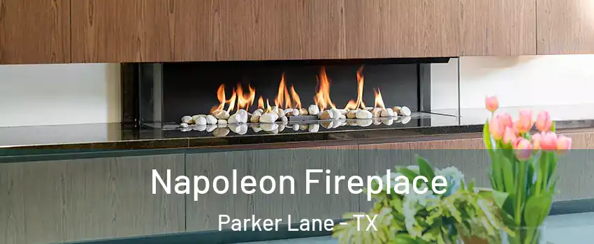 Napoleon Fireplace Parker Lane - TX