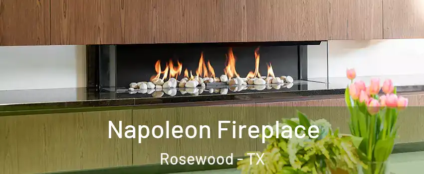 Napoleon Fireplace Rosewood - TX