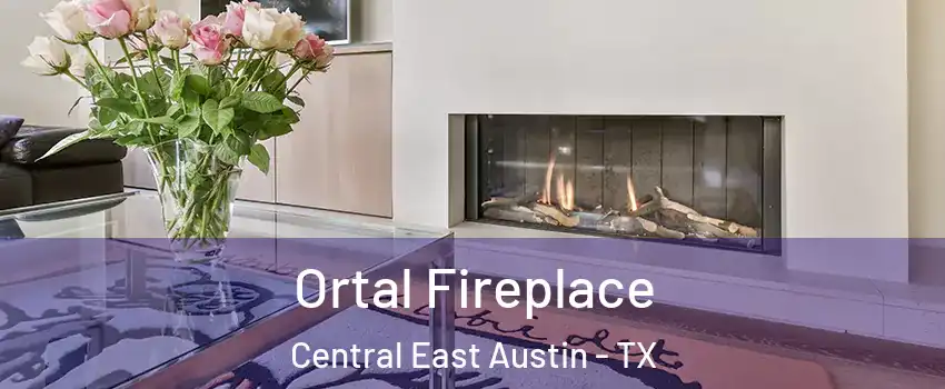 Ortal Fireplace Central East Austin - TX