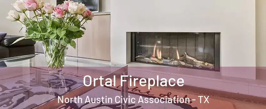 Ortal Fireplace North Austin Civic Association - TX