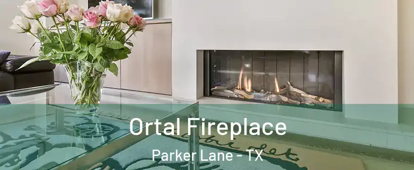 Ortal Fireplace Parker Lane - TX