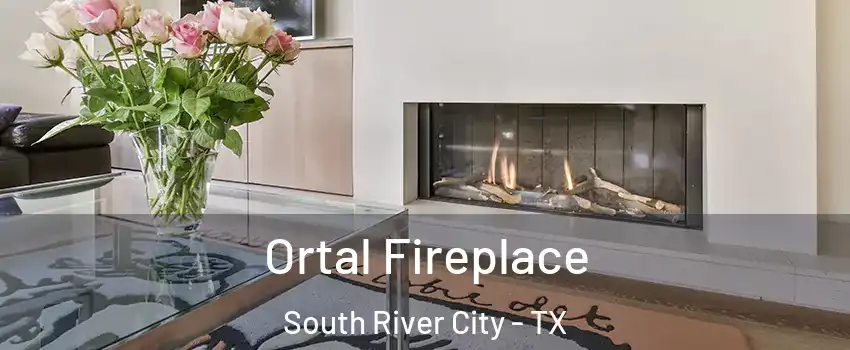 Ortal Fireplace South River City - TX