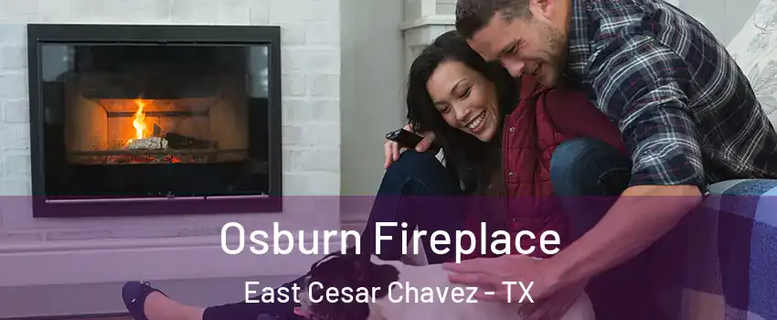 Osburn Fireplace East Cesar Chavez - TX