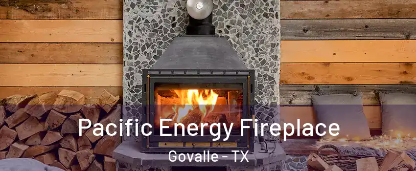 Pacific Energy Fireplace Govalle - TX