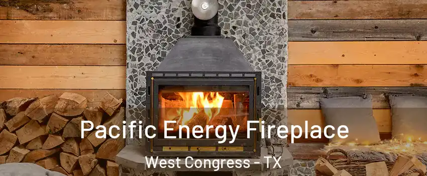 Pacific Energy Fireplace West Congress - TX