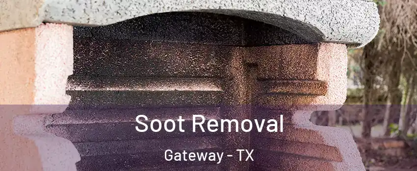 Soot Removal Gateway - TX