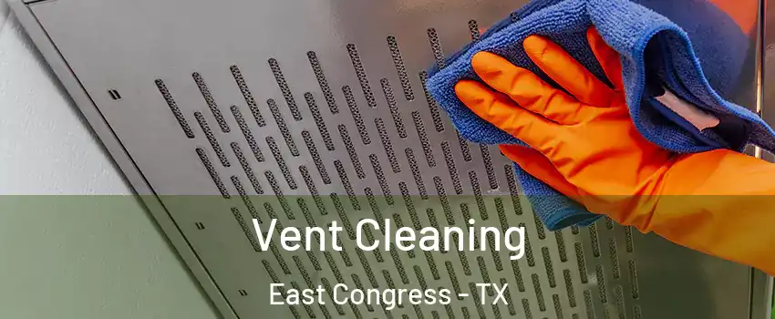 Vent Cleaning East Congress - TX