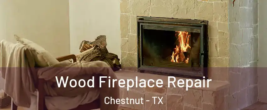 Wood Fireplace Repair Chestnut - TX