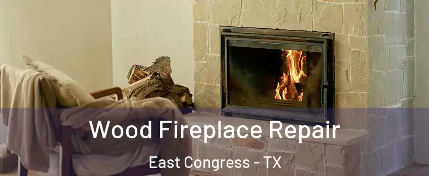 Wood Fireplace Repair East Congress - TX