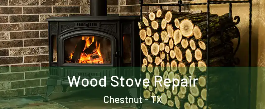 Wood Stove Repair Chestnut - TX