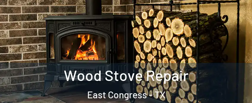 Wood Stove Repair East Congress - TX