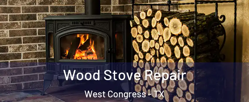 Wood Stove Repair West Congress - TX